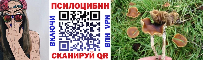 ОМГ ОМГ   Нурлат  Галлюциногенные грибы Psilocybine cubensis 